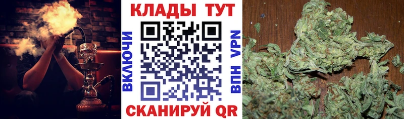 Псилоцибиновые грибы Нерехта