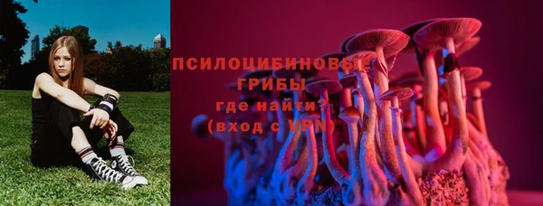 прущие грибы Алексеевка