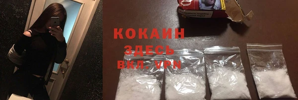 кокс Алексин
