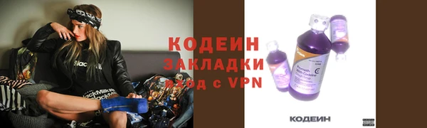 прущие грибы Алексеевка