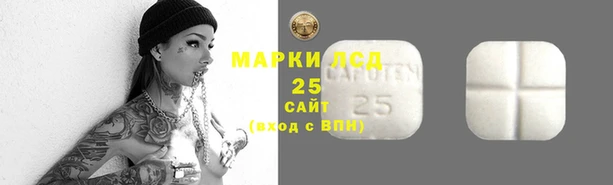 кокс Алексин