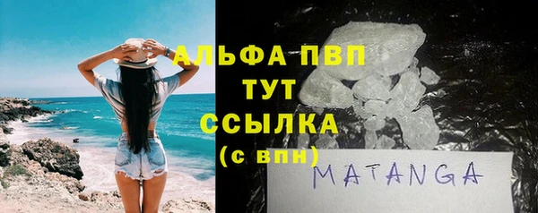 прущие грибы Алексеевка