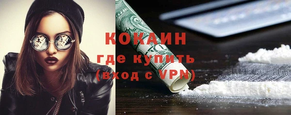 кокс Алексин