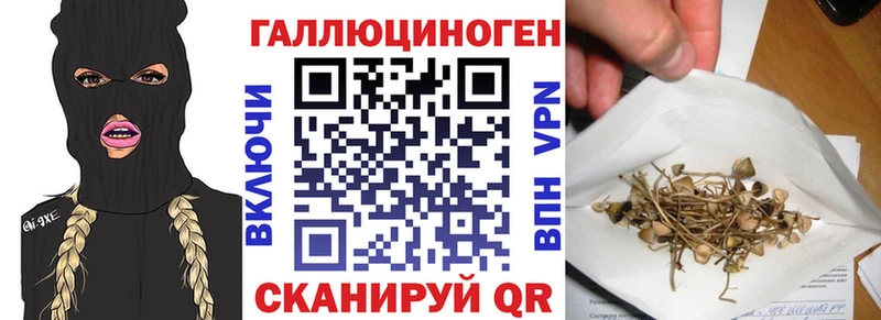 Псилоцибиновые грибы мицелий что такое Нерехта